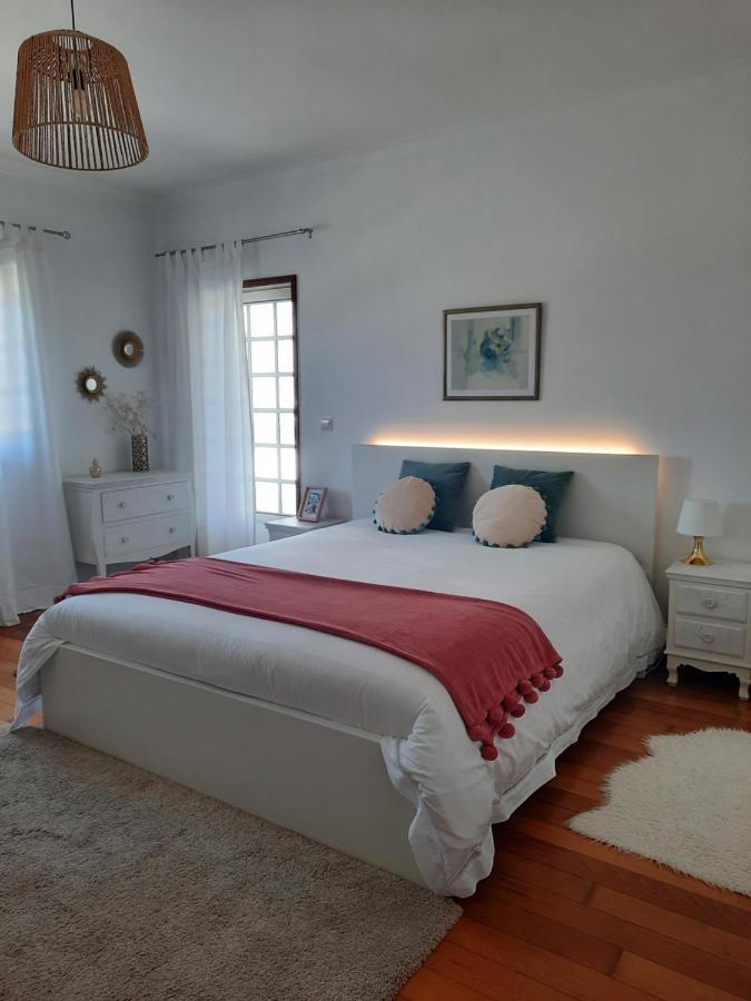 Casa Das Camelias Aveiro Bagian luar foto